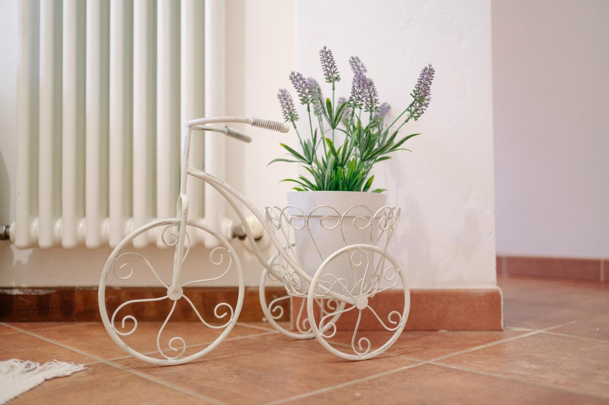 Ema'S Guest House Lucca Ngoại thất bức ảnh